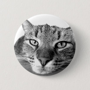 Sleepy Cat 6 Cm Round Badge