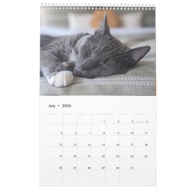 Sleepy Cat Calendar (Jul 2026)