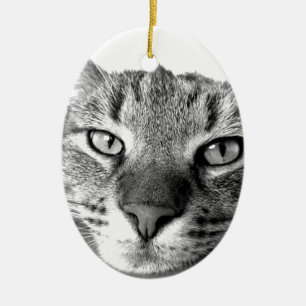 Sleepy Cat Ceramic Tree Decoration