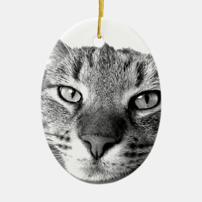 Sleepy Cat Ceramic Tree Decoration (Front)
