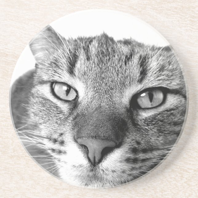 Sleepy Cat Coaster (Front)