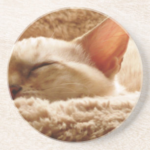 Sleepy Cat Coaster