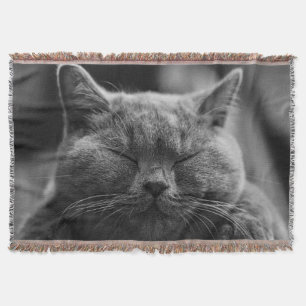 Sleepy Cat Face Photograpy Throw Blanket