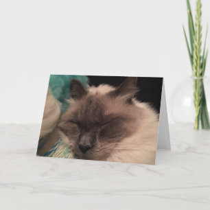 Sleepy Cat Greeting Card (landscape)