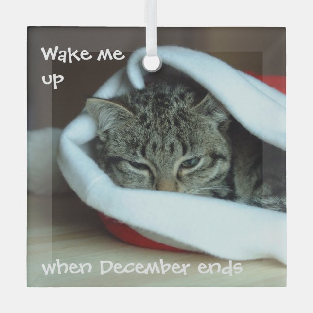 Sleepy Cat in Santa Hat Glass Tree Decoration (Front)