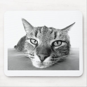 Sleepy Cat Mouse Mat