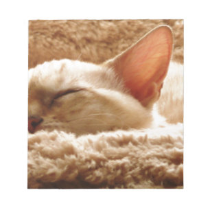 Sleepy Cat Notepad