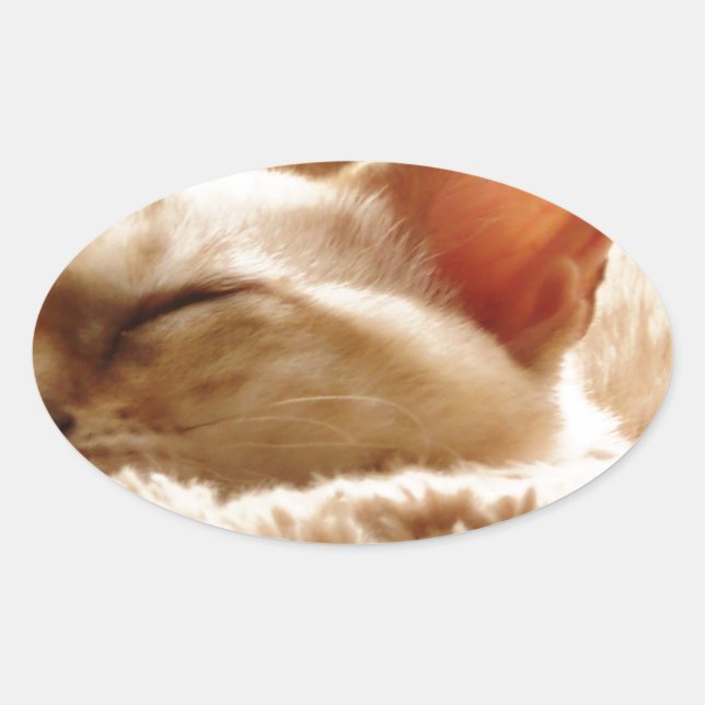 Sleepy Cat Oval Sticker (Front)