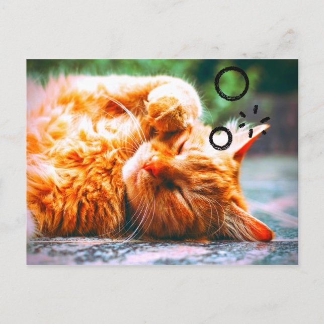 Sleepy Cat Postcard (Front)