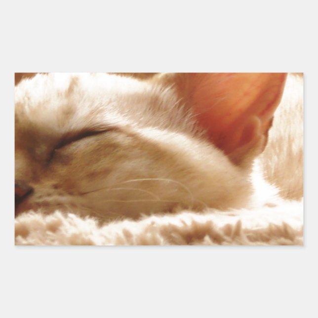 Sleepy Cat Rectangular Sticker (Front)