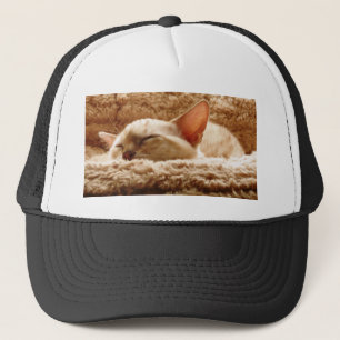 Sleepy Cat Trucker Hat