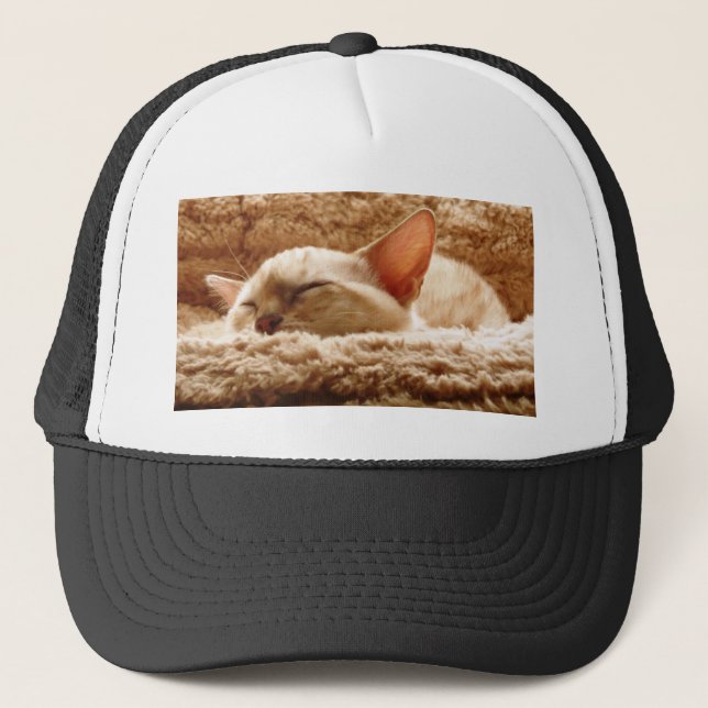 Sleepy Cat Trucker Hat (Front)