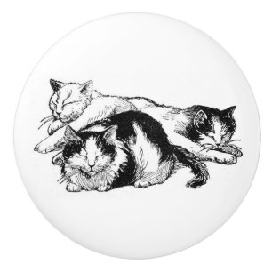 Sleepy Cats black and white kitties Ceramic Knob