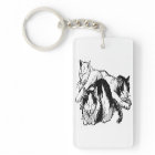 Sleepy Cats | black and white kitties