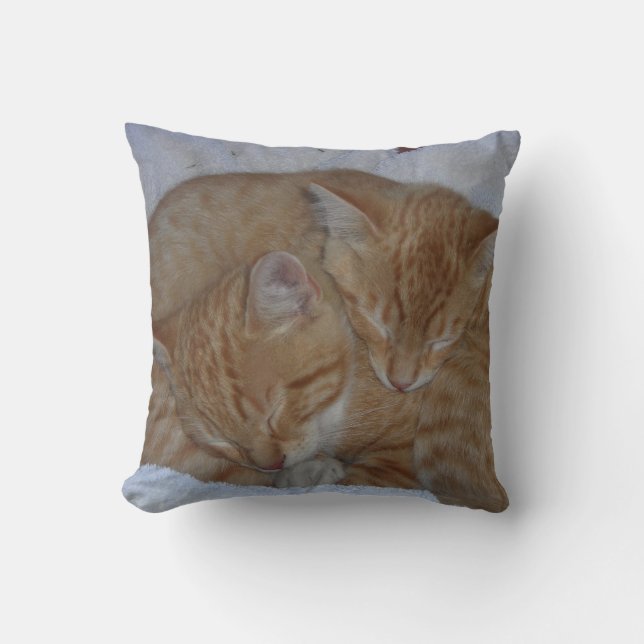 Sleepy Cats Cushion (Front)