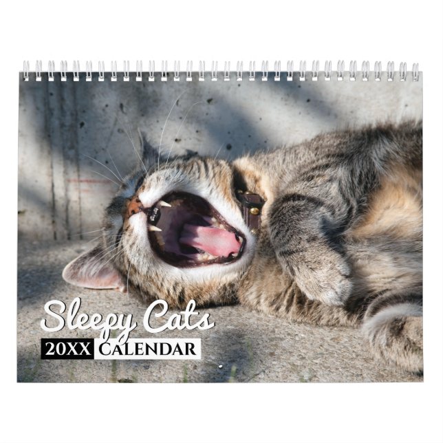 Sleepy Cats Photo Wall Calendar (Cover)