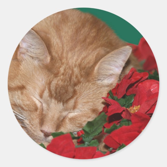 Sleepy Christmas kitty Classic Round Sticker (Front)