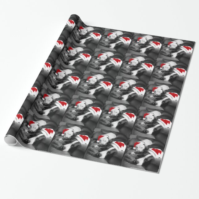sleepy christmas pitbull puppies adorable santa wrapping paper (Unrolled)