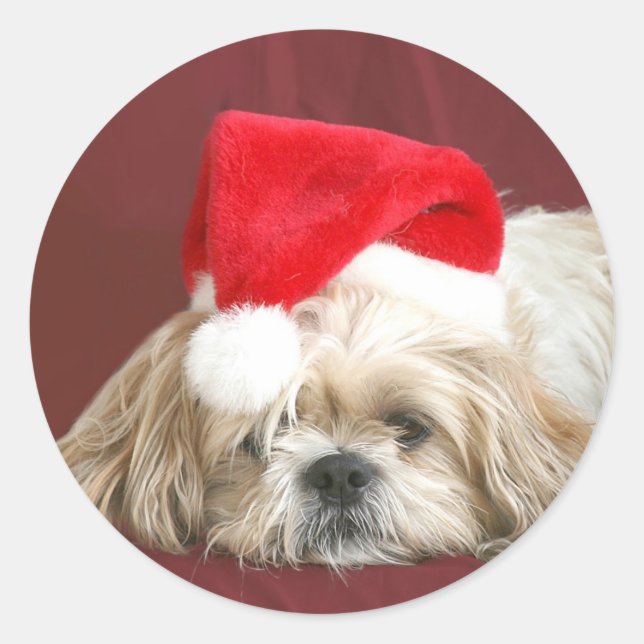 Sleepy Christmas Shih Tzu Classic Round Sticker (Front)