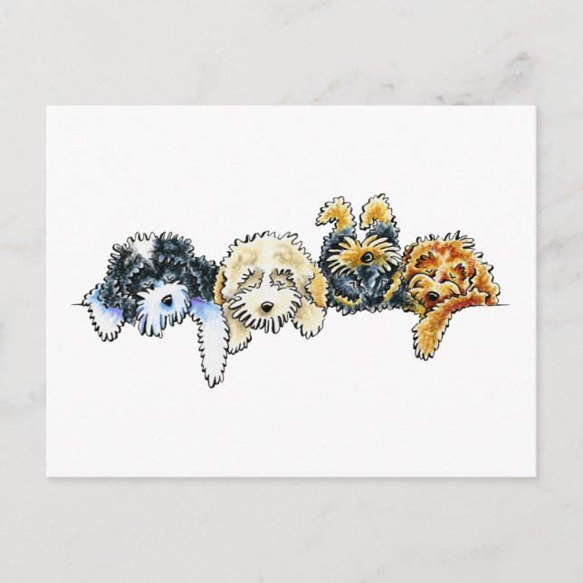 Sleepy Cockapoos Postcard (Front)