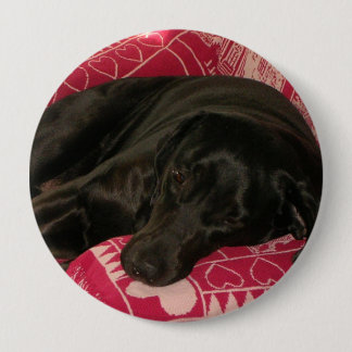 Sleepy Dog Button