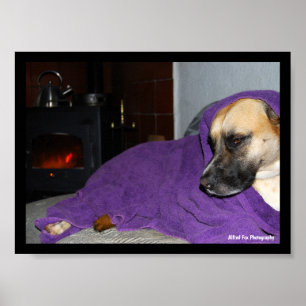 Sleepy Dog by Fireplace Poster