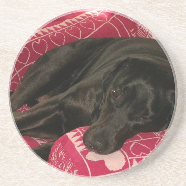 Sleepy Dog Coaster (Front)