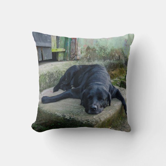 Sleepy Dog Cushion (Front)
