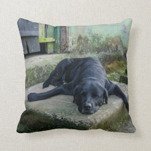 Sleepy Dog Cushion