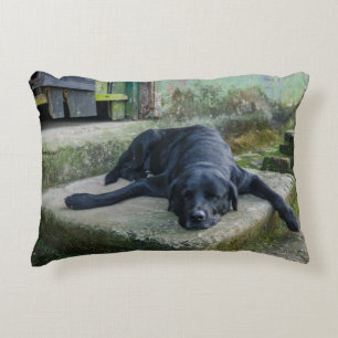 Sleepy Dog Decorative Cushion
