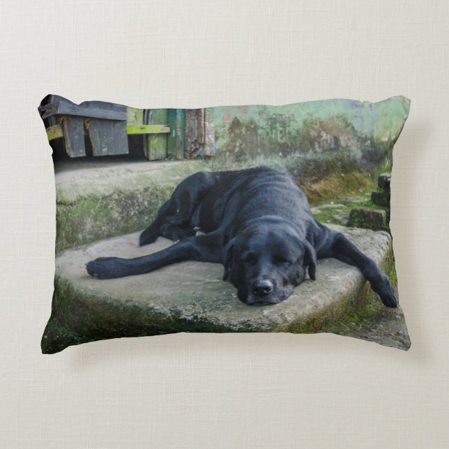 Sleepy Dog Decorative Cushion (Front)