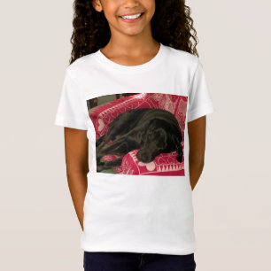 Sleepy Dog Girls Baby Doll T-Shirt