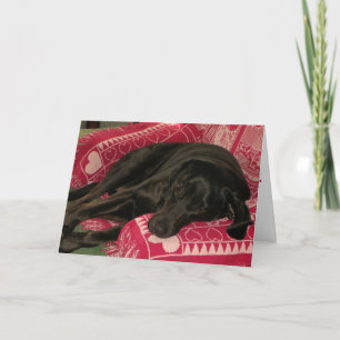 Sleepy Dog "I'm Sorry" Greeting Card
