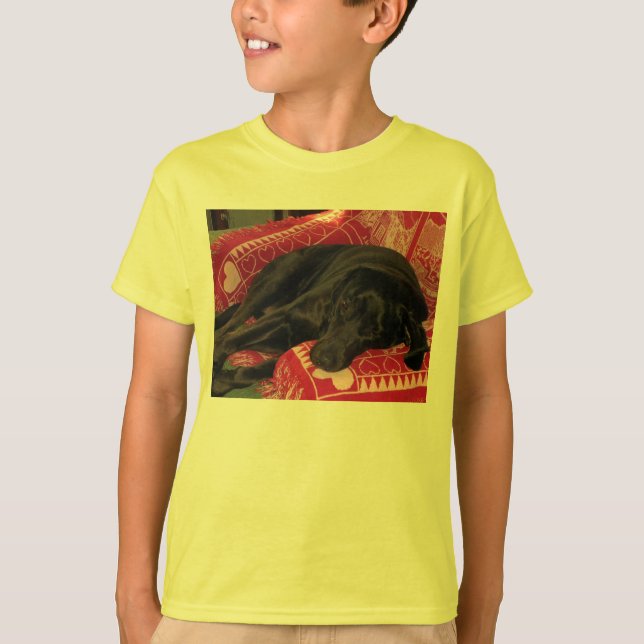 Sleepy Dog Kids Basic T-Shirt (Front)