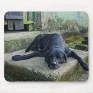 Sleepy Dog Mouse Mat
