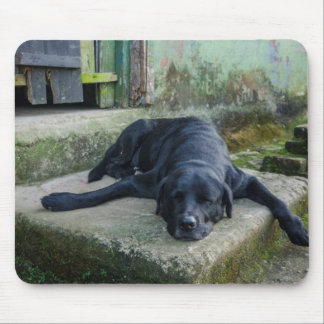 Sleepy Dog Mouse Mat