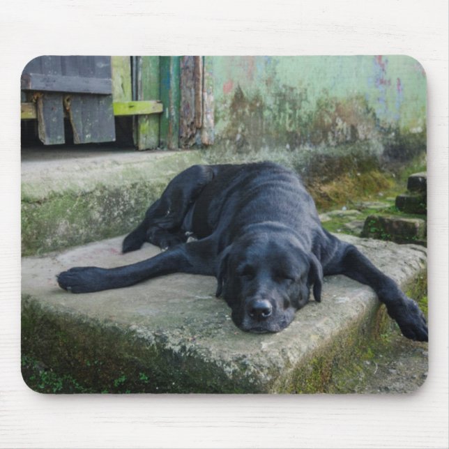 Sleepy Dog Mouse Mat (Front)