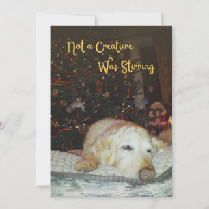Sleepy Dog Not a Creature was Stirring Christmas Holiday Card