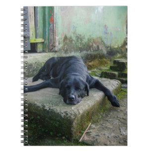 Sleepy Dog Notebook