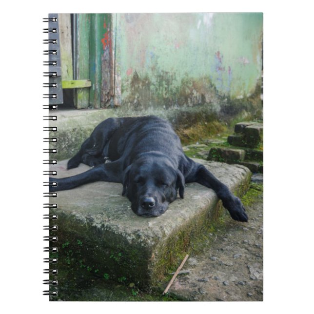 Sleepy Dog Notebook (Front)