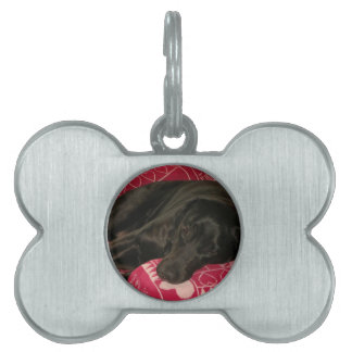 Sleepy Dog Pet Tag
