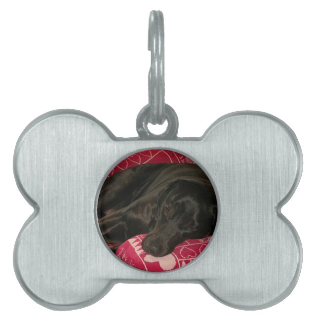 Sleepy Dog Pet Tag (Front)