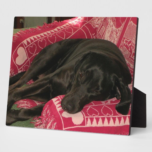 Sleepy Dog Plaque (Side)