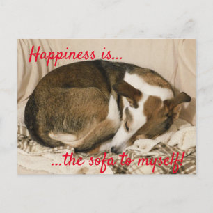 Sleepy Dog Postcard