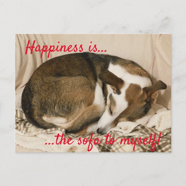 Sleepy Dog Postcard (Front)