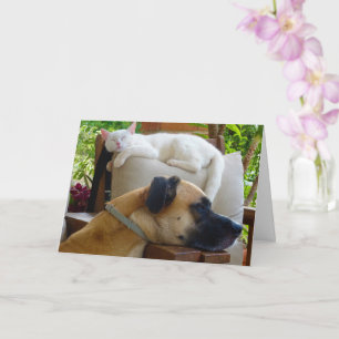Sleepy Dog Sleeping Kitten Card
