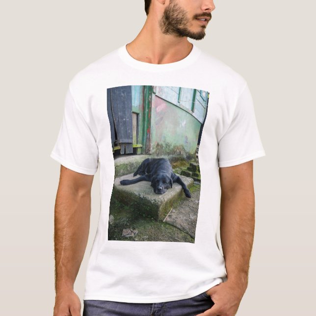Sleepy Dog T-Shirt (Front)