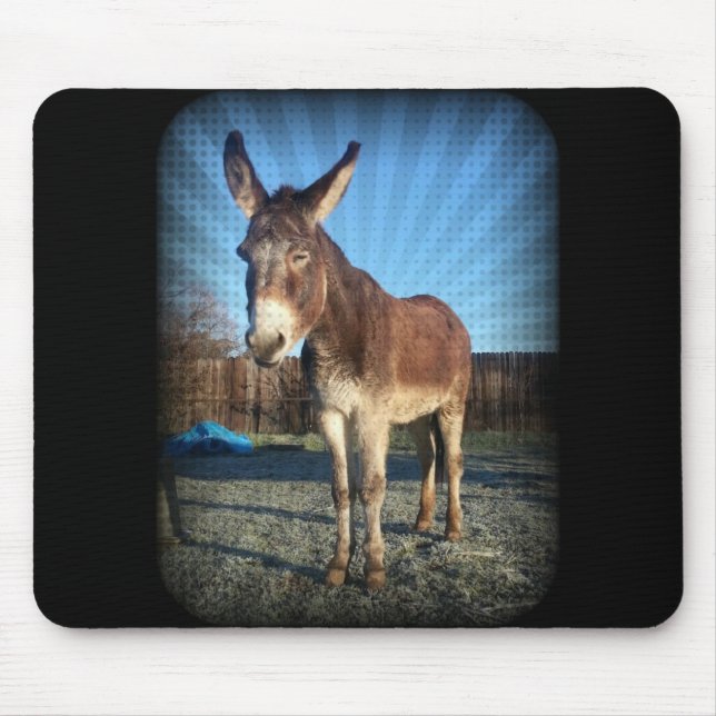 Sleepy Donkey Mouse Mat (Front)