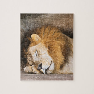 Sleepy Dreaming Adult Lion on Rocks Jigsaw Puzzle