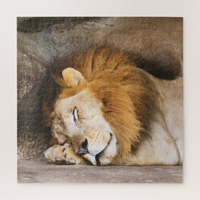 Sleepy Dreaming Adult Lion on Rocks Jigsaw Puzzle (Vertical)
